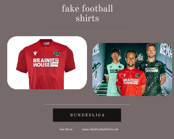 fake Hannover 96 football shirts 23-24